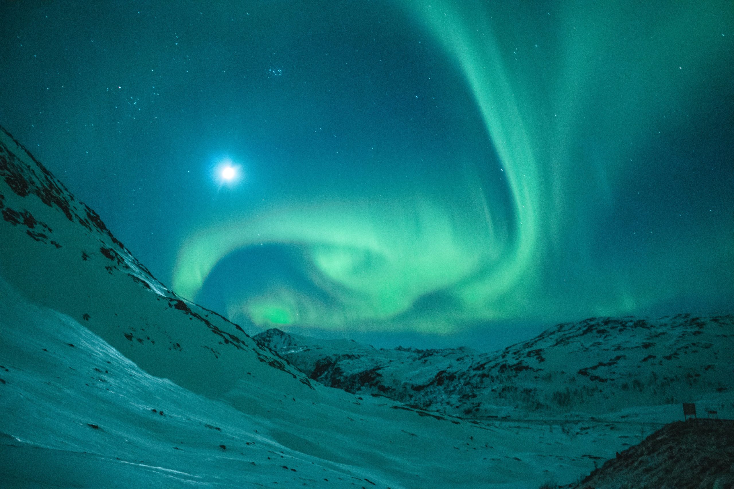 Aurorarussia